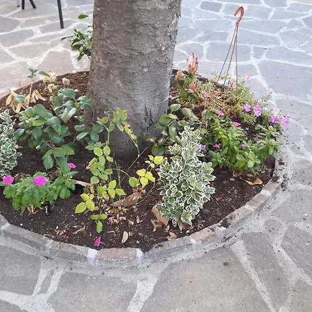 Stadium Bed and breakfast