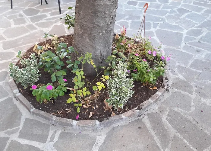 Stadium Bed and breakfast